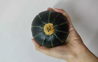 网红吃的软趴瓜是什么,软趴瓜的独特魅力与制作方法 第3张 网红吃的软趴瓜是什么,软趴瓜的独特魅力与制作方法 第3张