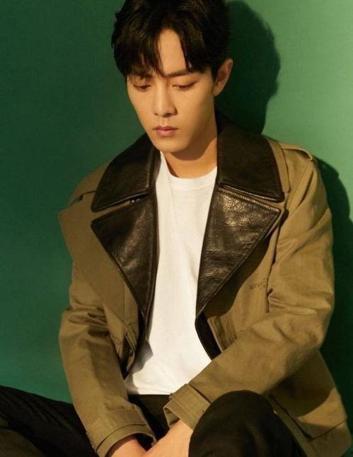 娱乐圈吃瓜爆料肖战是谁,娱乐圈吃瓜爆料中的焦点人物 第2张 娱乐圈吃瓜爆料肖战是谁,娱乐圈吃瓜爆料中的焦点人物 第2张